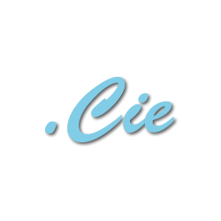 Coopérative de solidarité intra entrepreneuriale (.Cie)